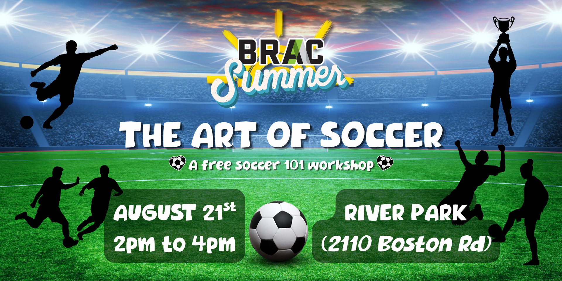 The Art of Soccer